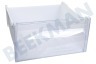 Privileg Kühlschrank 481010694095 Gefrier-Schublade Schublade XXL
