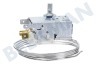 Cda (cont.dom.appl.) Kühlschrank Thermostat A13 0103