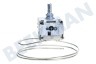 Elektra Kühlschrank Thermostat A13 0092K C046 ATEA