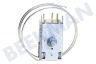 Elektra Kühlschrank Thermostat A13 0092K C046 ATEA
