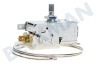 Caple Kühlschrank Thermostat K59L1942500
