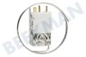Caple Kühlschrank Thermostat K59L1942500