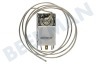 Cont.dom.a Kühlschrank Thermostat 3 Kontakte, Kapillarlänge 107cm