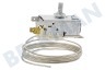 Goddess Kühlschrank Thermostat K59 L2139