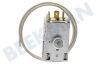 Goddess Kühlschrank Thermostat K59 L2139