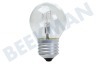 Amana Kühlschrank Lampe 40W 220V E27