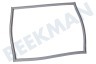 Samsung Kühlschrank DA63-04297D Dichtungsgummi Gefrierteil