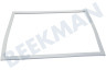 Samsung Kühlschrank DA97-19053G Dichtungsgummi Gefrierteil
