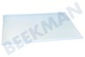 Samsung Kühlschrank DA97-13502D Glasplatte Glasablage