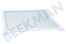 Samsung Kühlschrank DA97-16728A Glasplatte aus dem Gefrierfach