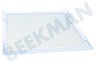 Samsung Kühlschrank DA97-16728A Glasplatte aus dem Gefrierfach