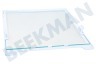 Samsung Kühlschrank DA97-16728A Glasplatte aus dem Gefrierfach