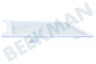 Samsung Kühlschrank DA97-16728A Glasplatte aus dem Gefrierfach