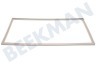 Zanussi Kühlschrank Dichtungsgummi 1020 x 530