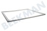 Electrolux Kühlschrank Dichtungsgummi 520x620mm, Gefrierschrank