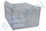 Curtiss Kühlschrank Gefrier-Schublade Transparent, unten