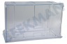 Curtiss Kühlschrank Gefrier-Schublade Transparent, unten