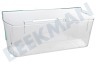 Lloyds Kühlschrank Gemüsefach Transparent, 200 x 465 x 195 mm