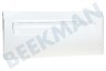 Zanussi Kühlschrank Gefrierfachklappe Transparent