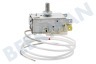 Urania Kühlschrank Thermostat K 59-L 1234