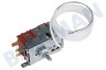Hugin Kühlschrank Thermostat K-59 H 2840