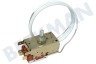 Elektra Kühlschrank Thermostat K57 L5807