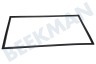 Dometic Kühlschrank 241301033 Dichtungsgummi Schwarz