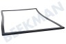 Dometic Kühlschrank 241301033 Dichtungsgummi Schwarz