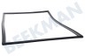 Dometic Kühlschrank 241301033 Dichtungsgummi Schwarz