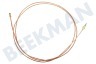 Dometic Kühlschrank Thermisches Element 2100mm