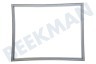 LG Kühlschrank ADX73590902 Türgummi Kühlschrank