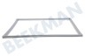LG Kühlschrank ADX73590902 Türgummi Kühlschrank