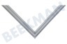 LG Kühlschrank ADX73590902 Türgummi Kühlschrank
