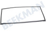 Haier Kühlschrank 0060829116AK Dichtungsgummi Kühlschrank
