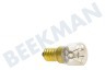 Tricity bendix Glühlampe 230V 15W E14