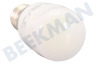 San Giorgio Glühlampe 220-240V 1.5W 120 lm E14