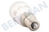 San Giorgio Glühlampe 220-240V 1.5W 120 lm E14
