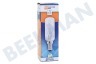 Alno Dunstabzugshaube Lampe