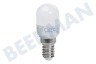 Calex 1301002600 LED Röhrenlampe 240 V 0,3 W E14 T20, 2700 K
