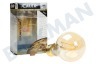 Calex 474504 Calex LED Vollglas Filament Standardlampe 4W 310lm E27