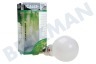 Calex 421708 Calex LED Standardlampe mit Sensor 8W 710lm E27