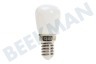 Calex 424996 Calex LED Vollglas Glühfaden Switchboard-Lampe 1W 90lm E14