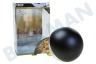 Calex 425478 Calex LED Vollglas Filament 4W E27 Kopfspiegel Schwarz