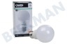 Calex 1301002900 LED Standardlampe 4,9 Watt, E27 A60