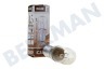 Calex 411002 Calex Lämpchen 240V 10W 45lm E14 klar 18x52mm