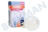 Osram 4058075591295 Parathom Retrofit Classic A60 Matt Dimmbar E27 6.5W