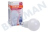 Osram 4058075593138 Parathom Classic A100 Matt E27 13W