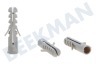 Deltafix Stopfen Nylon Stopfen