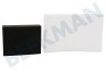 Aeg electrolux Staubsauger Filter Schwamm, Staubtank