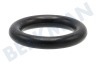 Nilfisk Hochdruck O-Ring